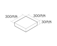 3030